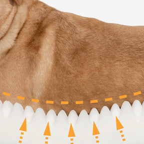 Orthopädisches Hundebett aus Kunstfleece und Wildleder mit voller Stützfunktion