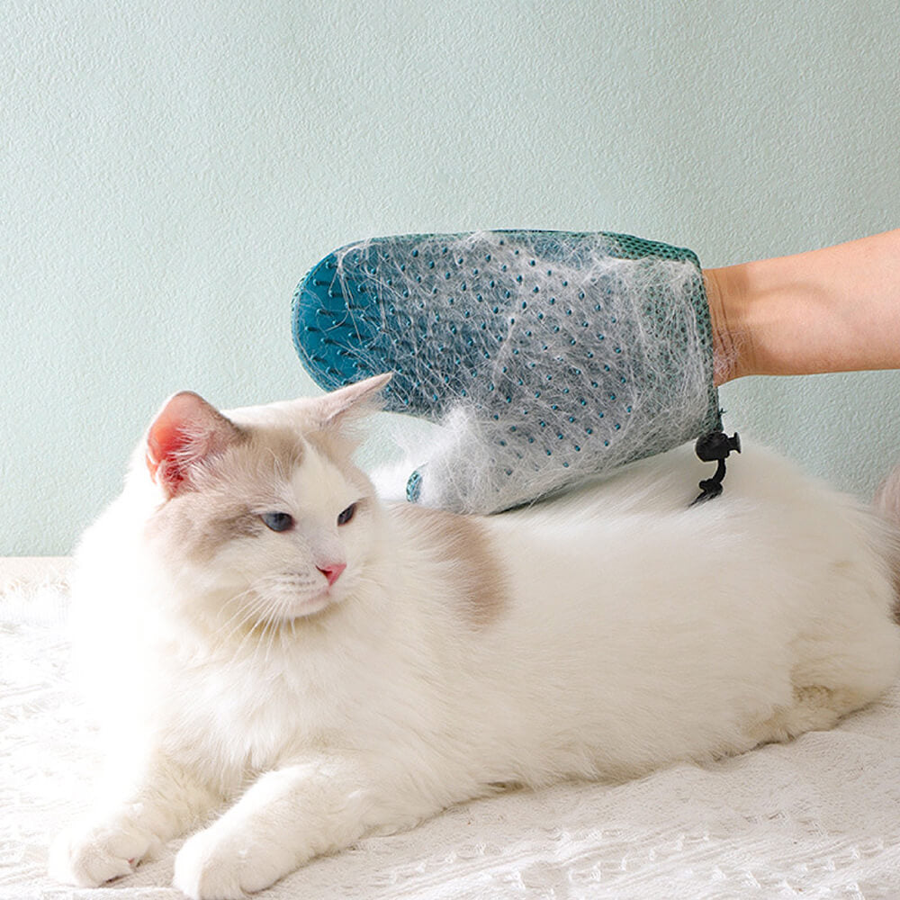 Silikon-Doppelseiten-Schwimmbürsten-Pflegehandschuh für Haustiere