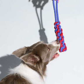 Jouet pour chien remorqueur en corde tressée - Color Clash