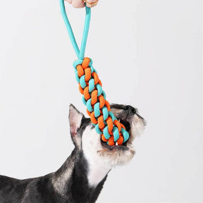 Jouet pour chien remorqueur en corde tressée - Color Clash