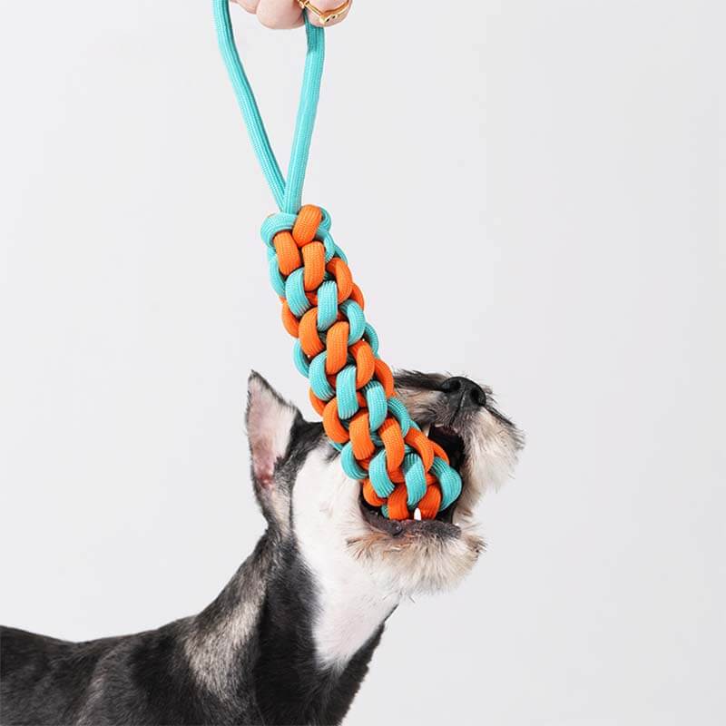 Braided Rope Stick Tug Dog Toy - Color Clash