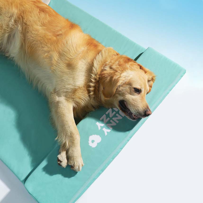 Orthopedic Waterproof Dog Bed - Ocean