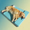 Orthopedic Waterproof Dog Bed - Ocean - FUNNYFUZZY