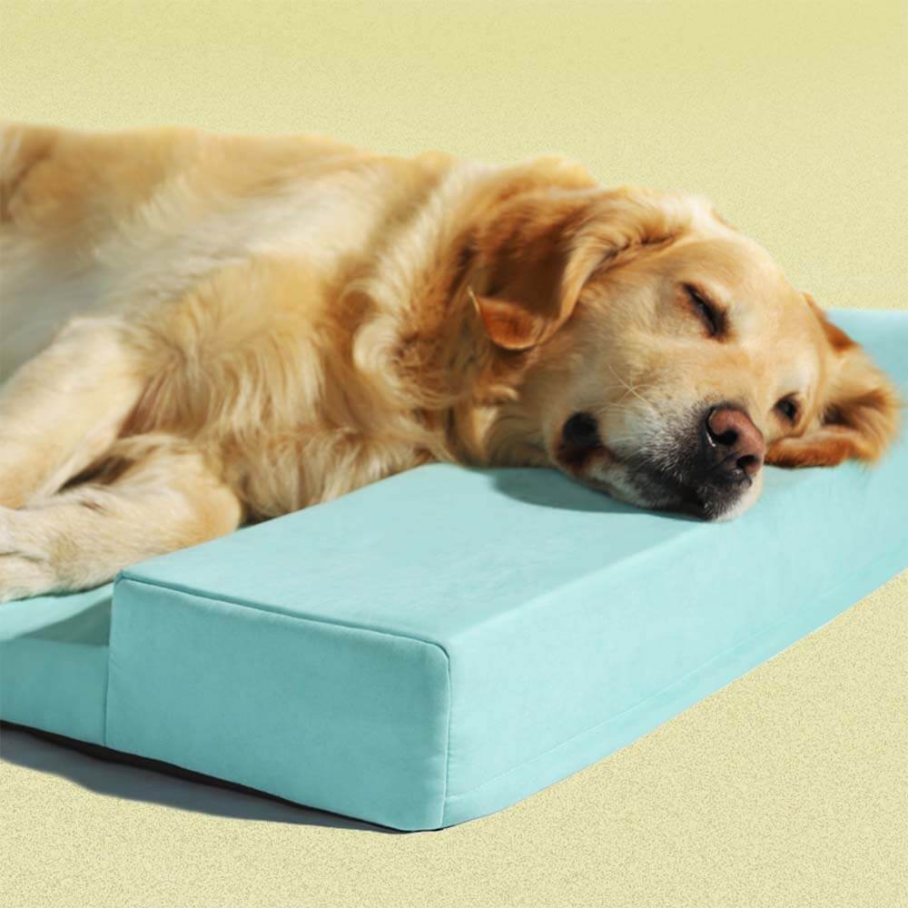 Orthopedic Waterproof Dog Bed - Ocean