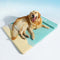 Orthopedic Waterproof Dog Bed - Ocean - FUNNYFUZZY