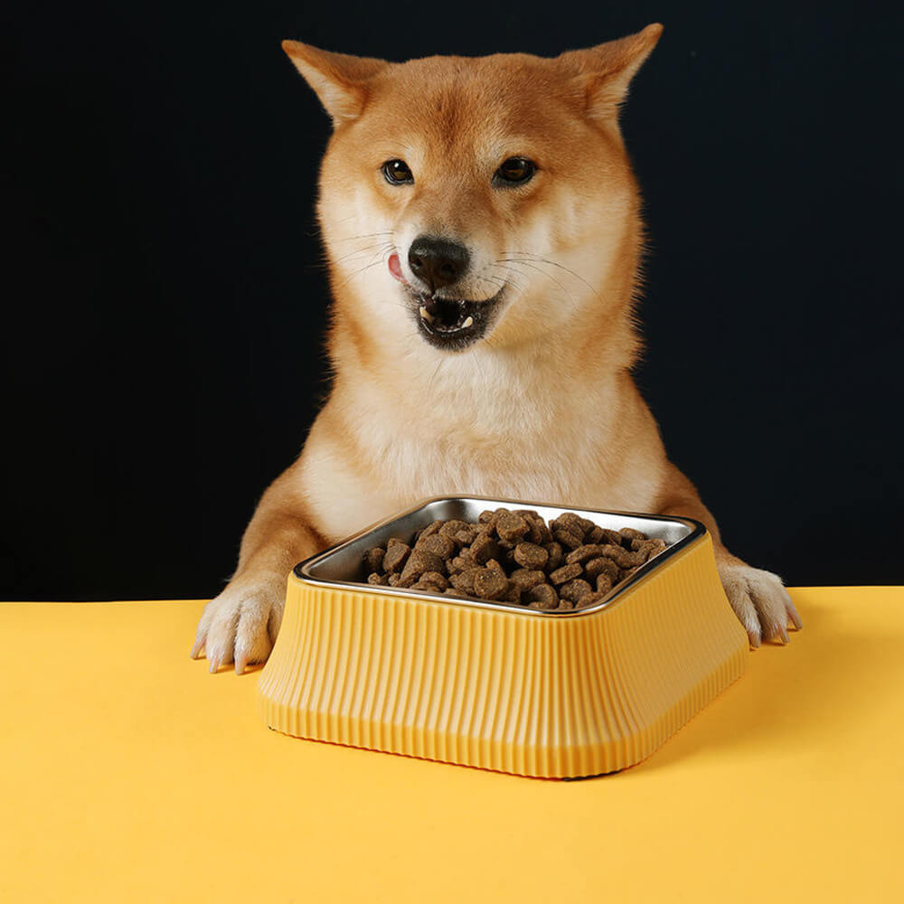 Cosmos Slow Feeder Dog Bowl - Funnyfuzzy