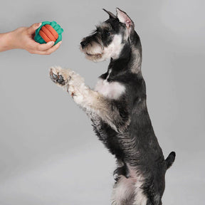 Ensemble de panier-cadeau de jouet pour chien | Gâteries en peluche Squeaky Chew Jeter des jouets interactifs