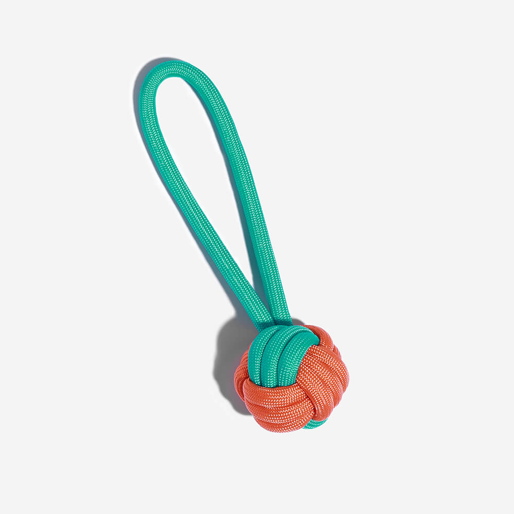 Knots Rope Tug Dog Toy - Color Clash