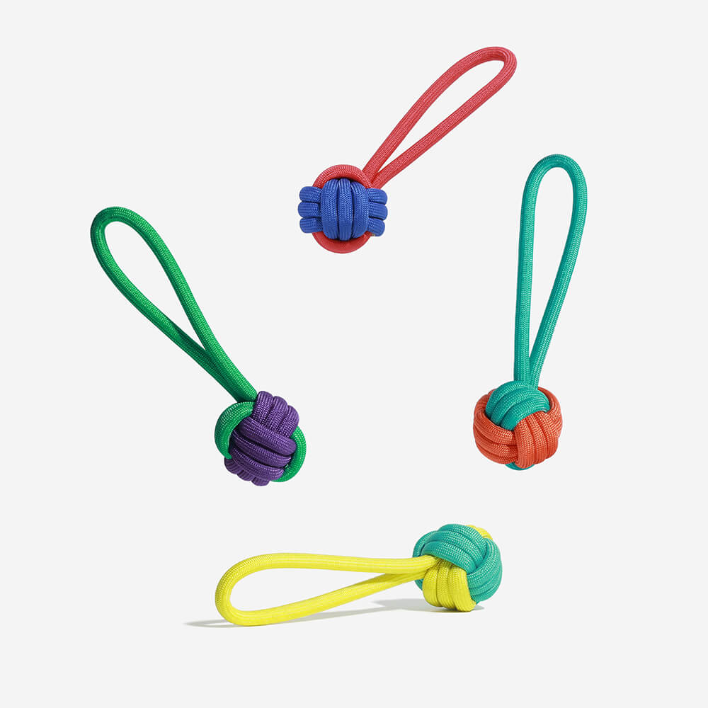 Knots Rope Tug Hundespielzeug – Color Clash