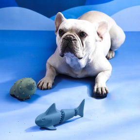 Leckerli-Spender-Hundespielzeug-Set – Ozean