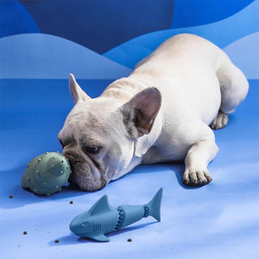 Ensemble de jouet pour chien avec distributeur de friandises - Océan