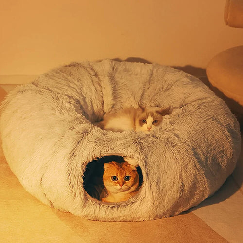 2-in-1 Cat Tunnel Bed | Foldable & Fun for Play and Rest | FunnyFuzzy