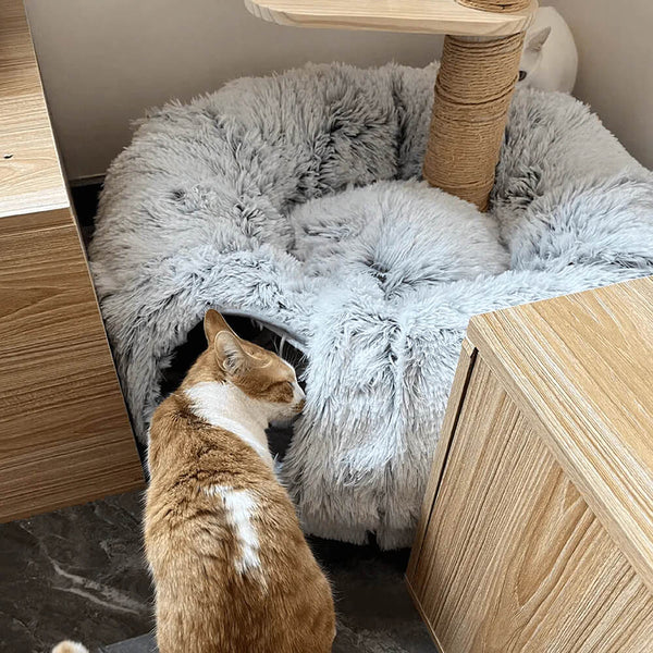 2-in-1 Foldable Indoor Soft Round Cat Tunnel Bed