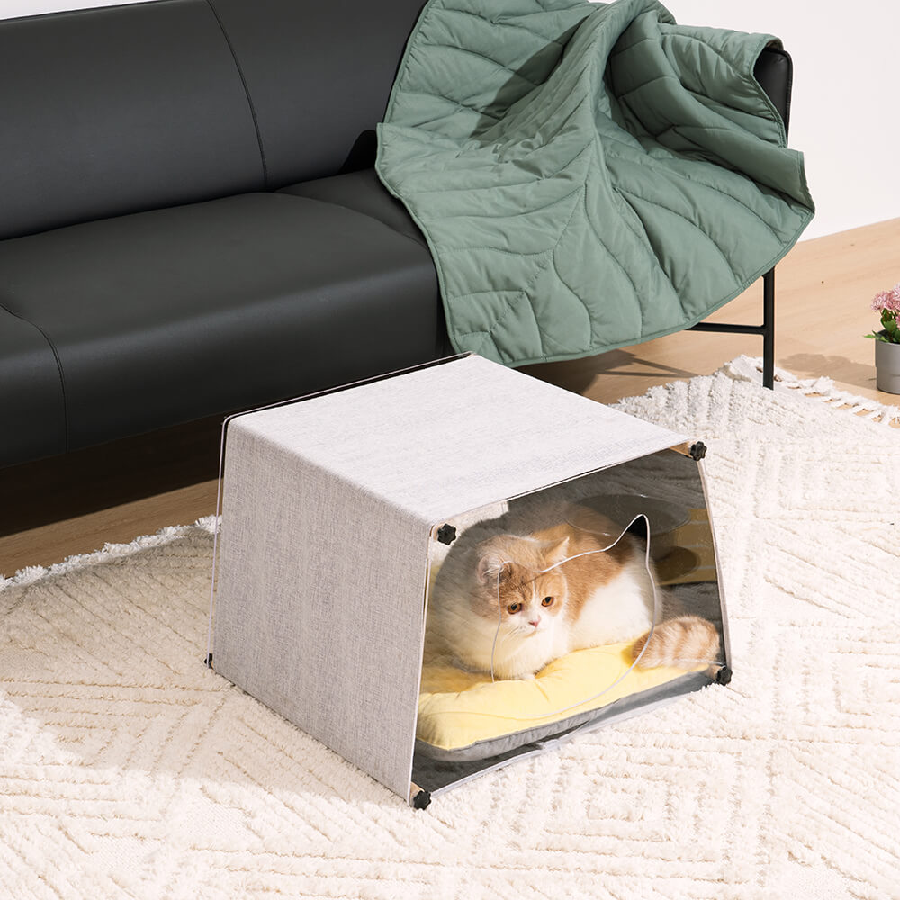 Casa de gato com estrutura de madeira maciça simples interna acrílica