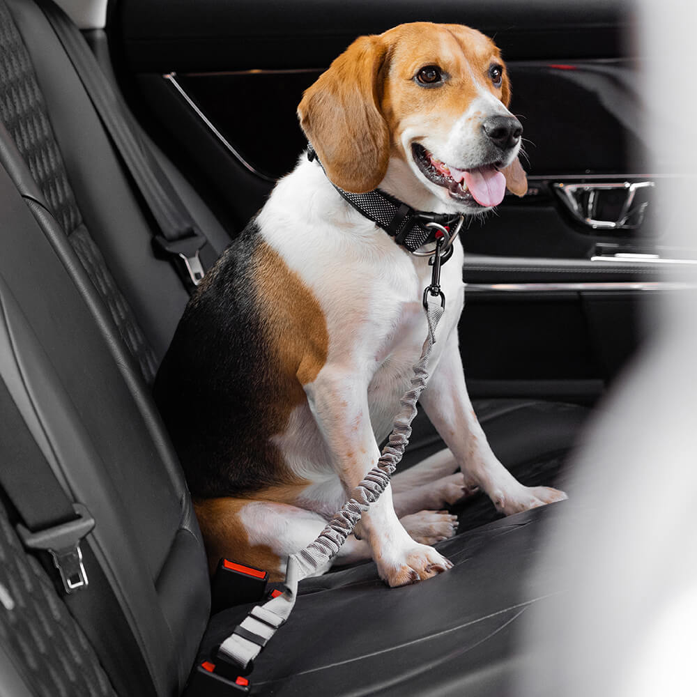 Puffer verstellbarer Hunde-Autosicherheitsgurt