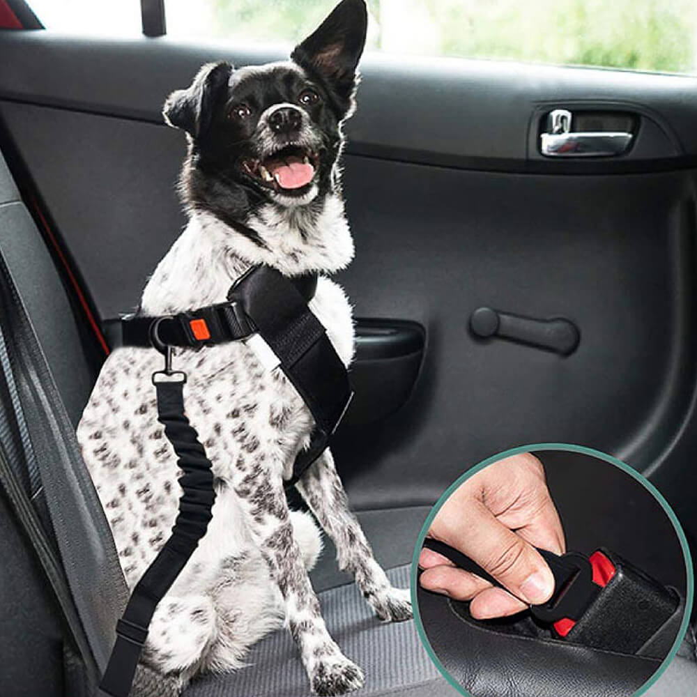 Ceinture de siège de sécurité voiture pour chien Voyage Laisse