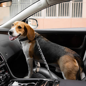 Puffer verstellbarer Hunde-Autosicherheitsgurt