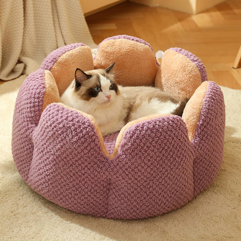 Cat Beds For Cats With Cerebral Palsy photo