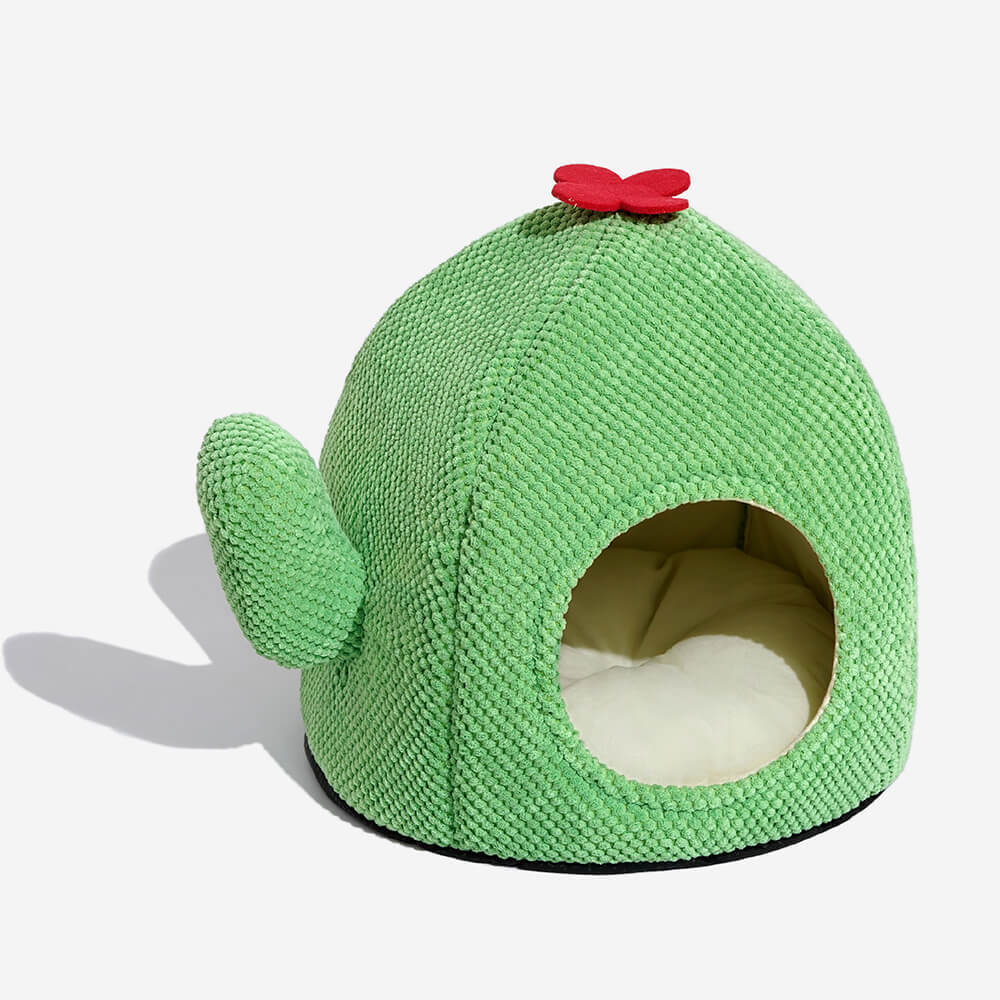 Cat cactus outlet bed