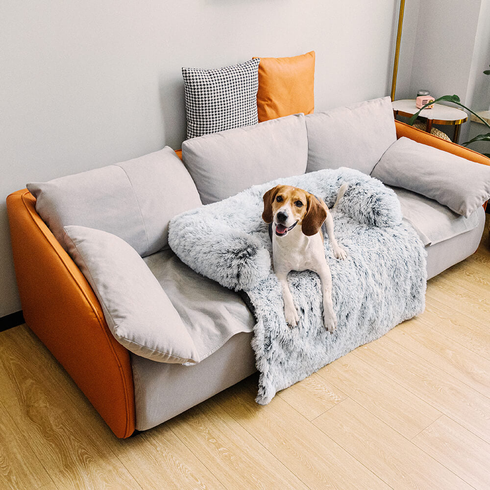 Lit pour chien protecteur de meubles apaisants - dossier flou