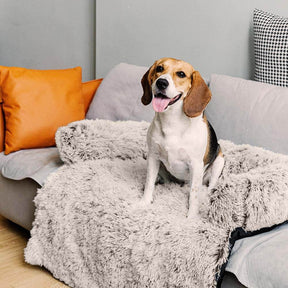 Beruhigendes Möbelschutz-Hundebett – flauschige Rückenlehne