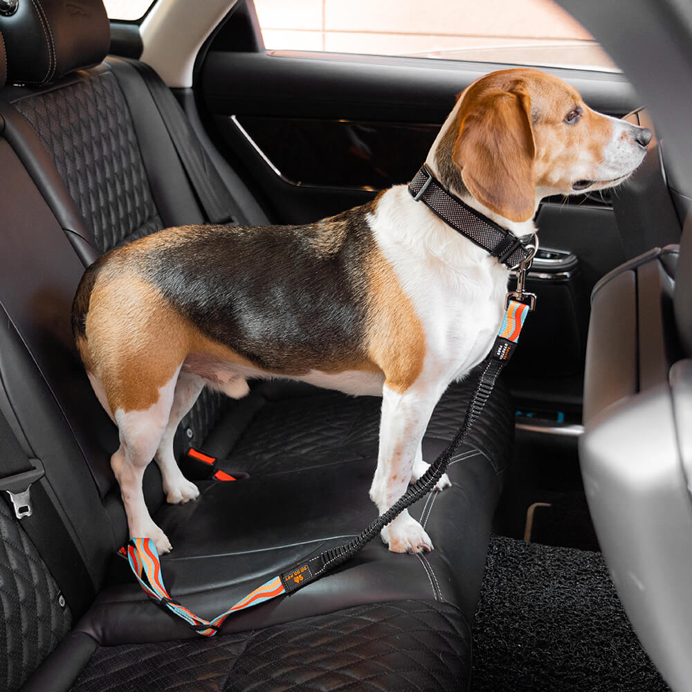 Bunter Puffer-verstellbarer Hunde-Autosicherheitsgurt
