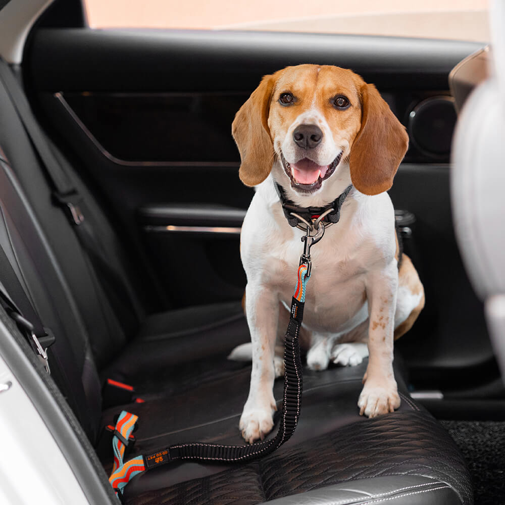 Bunter Puffer-verstellbarer Hunde-Autosicherheitsgurt