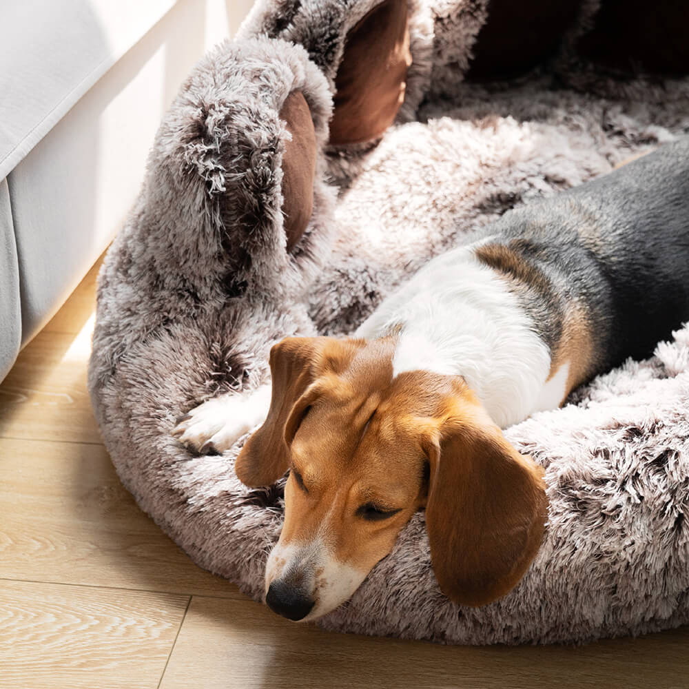 Paw shaped dog bed best sale