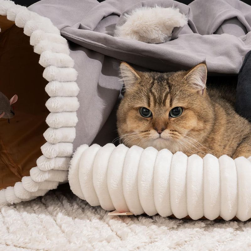Koalaing 2 in 1 Foldable Indoor Soft Cat Tunnel Bed - FunnyFuzzy