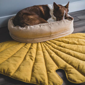 Couverture pour chien en forme de feuille avec lit pour chien beignet