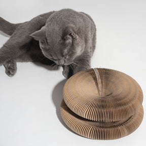 Accordéon magique pliable durable avec planche à gratter Bell Ball Cat