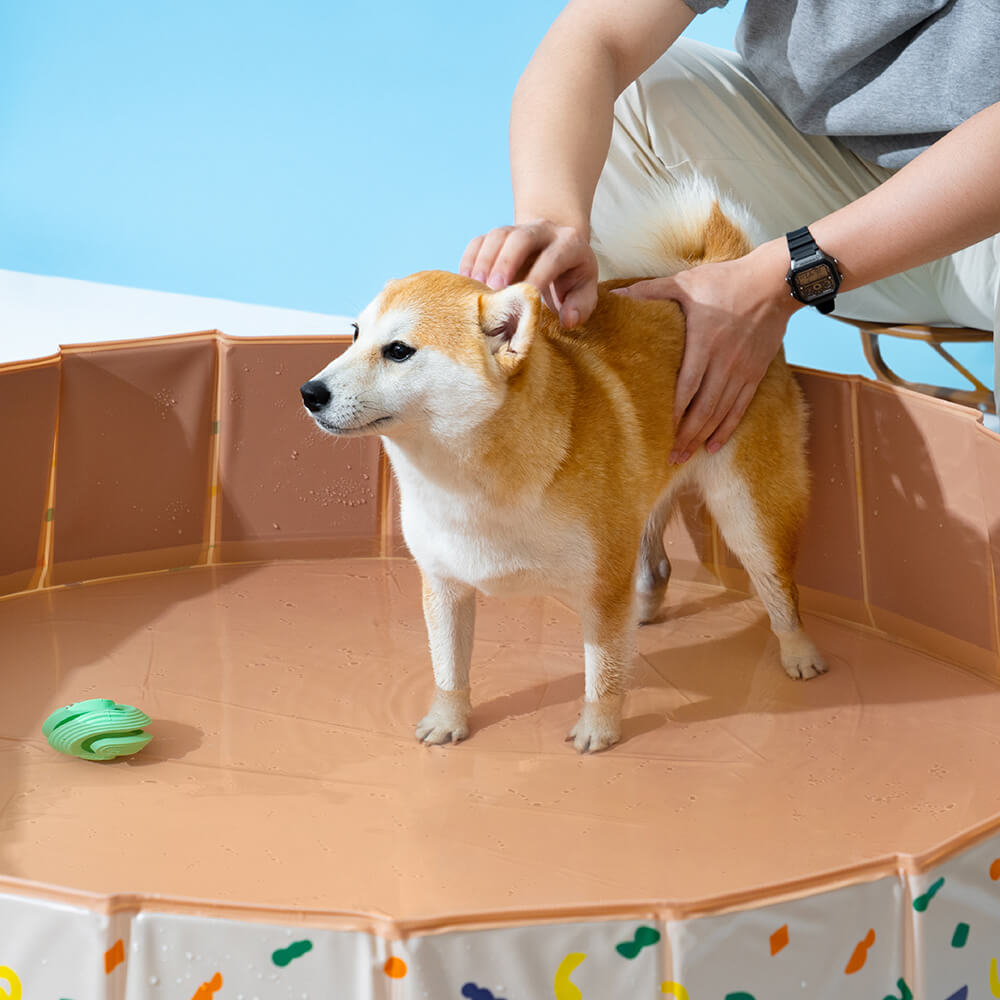 Zusammenklappbarer tragbarer Hundepool für den Außenbereich