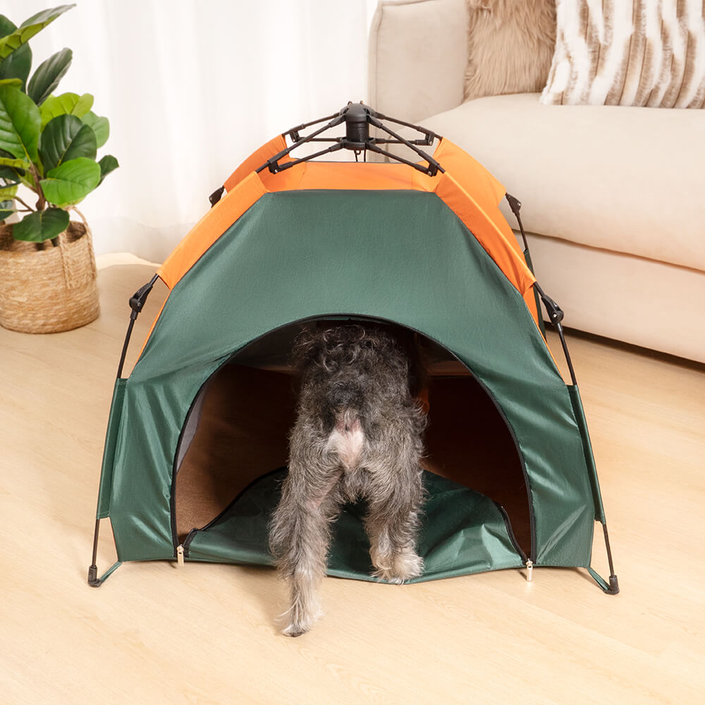 Collapsible dog hot sale tent