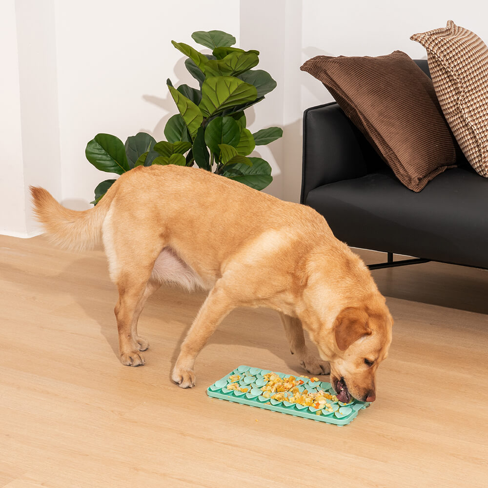 Jouet pour chien à ventouse en silicone pour semis reniflant tapis d'alimentation lente