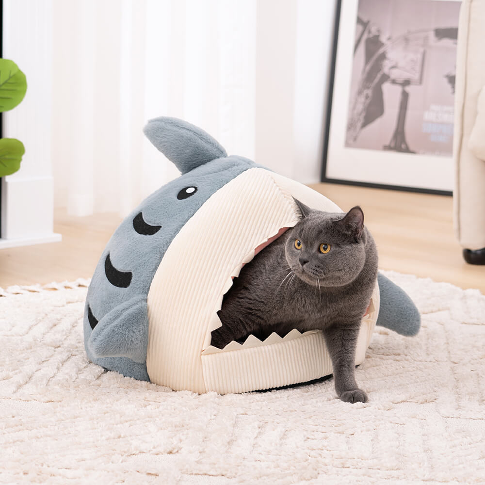 شكل القرش شبه المغلقة القط كهف جرو البيت