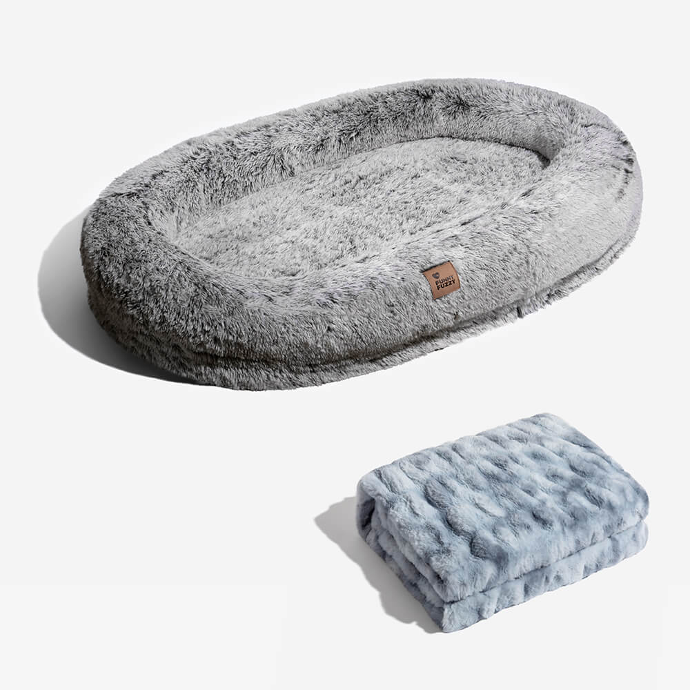 Gray clearance dog bed