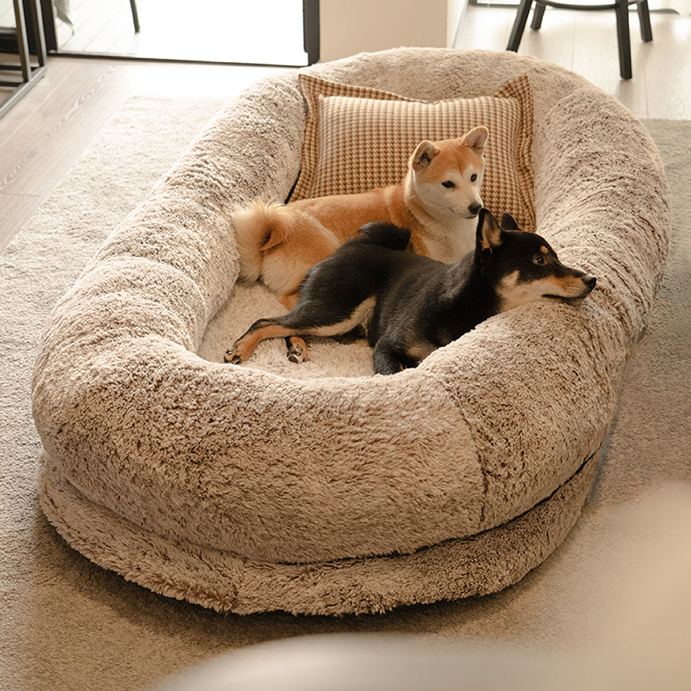 Dog bed for store people