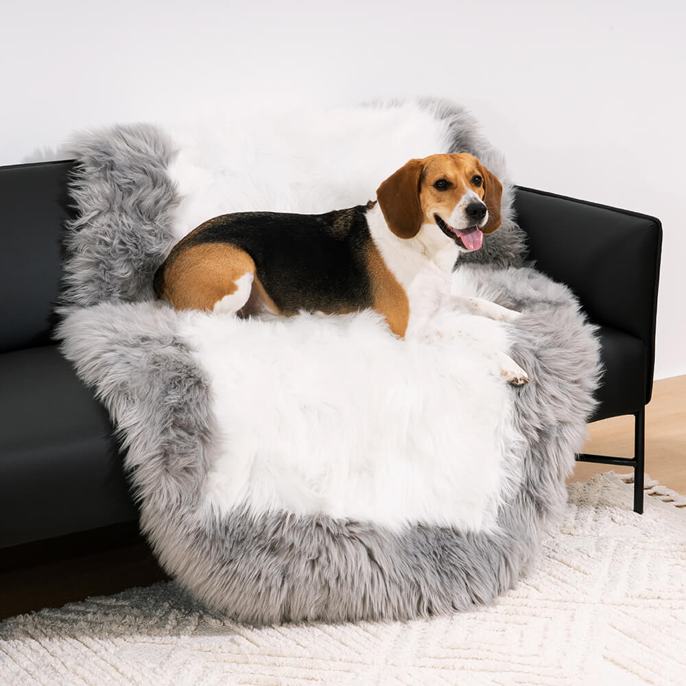 Dog bed hotsell fur rug