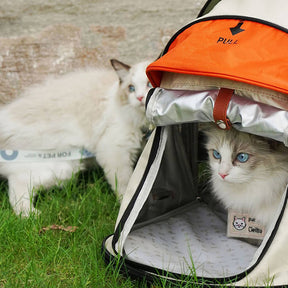 Transformers Pro Travel Camping Tent Cat Sac à dos