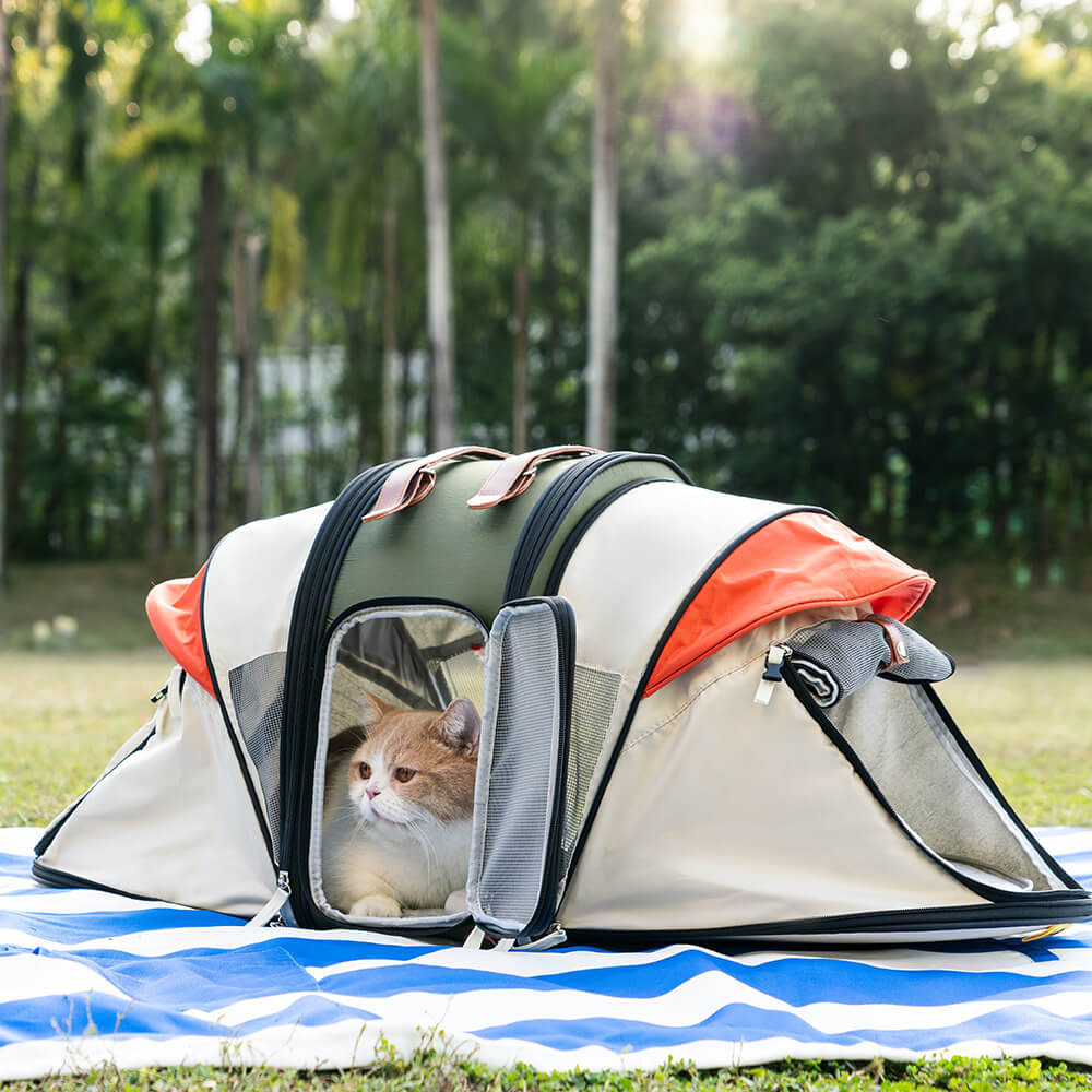 المحولات برو السفر التخييم خيمة القط على ظهره