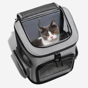 Grand sac à dos de transport pour animaux de compagnie pliable et portable