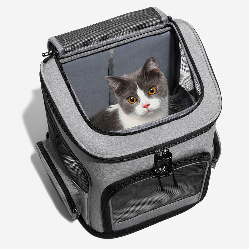 Grand sac à dos de voyage pliable et portable pour animaux de compagnie