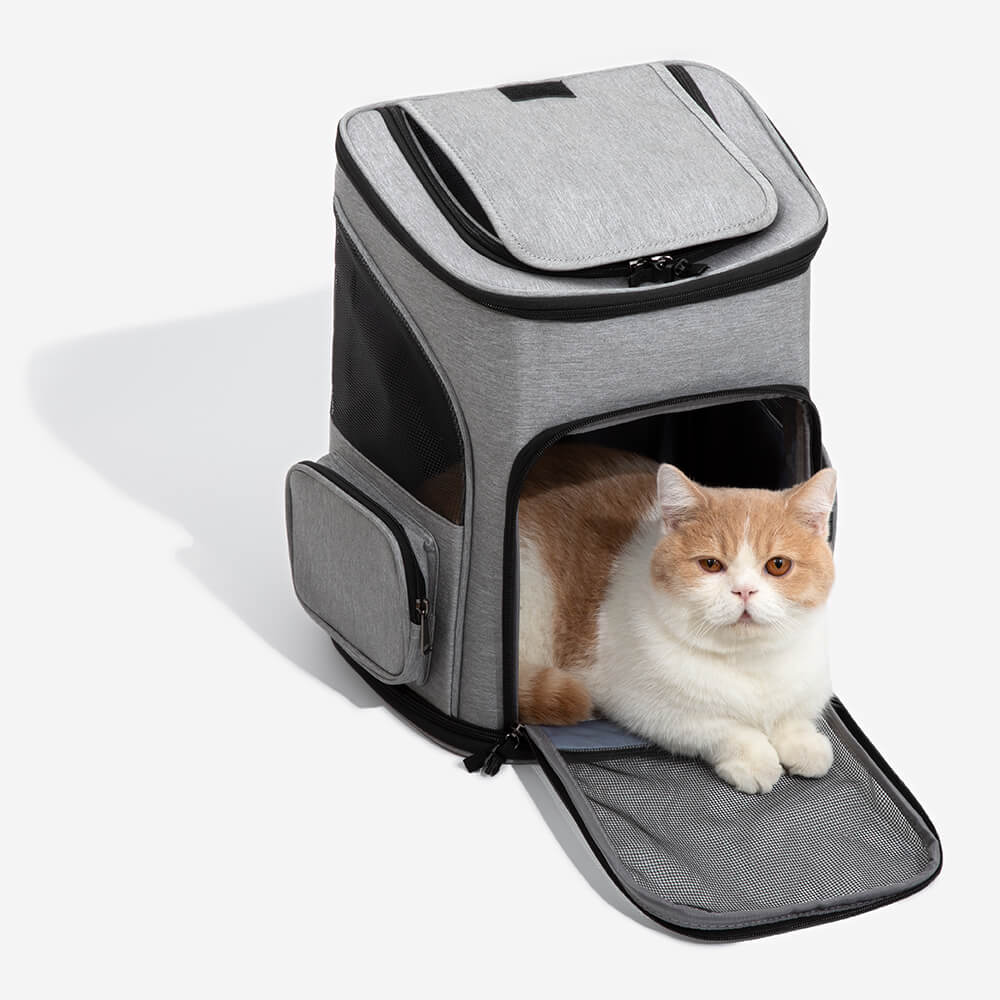 Grand sac à dos de voyage pliable et portable pour animaux de compagnie