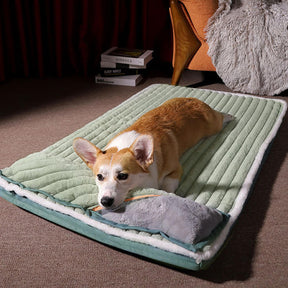 Velvet Calming Pillow Orthopedic Dog Bed