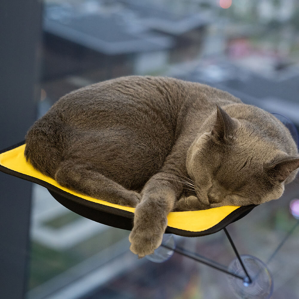 Window Perch Seat Suction Cups Cat Bed