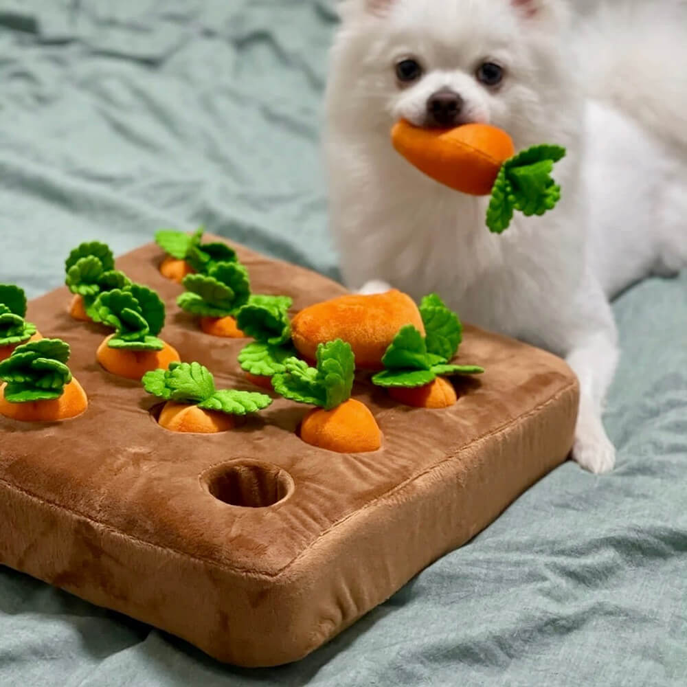 Squeaky Snuffle Dog Plush Toy - Carrot Farm