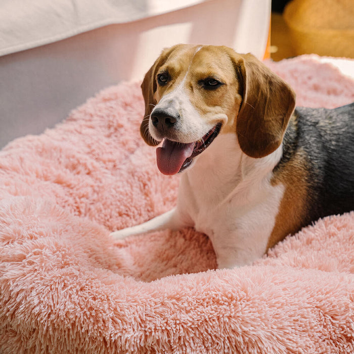 Fuzzy Round Dog Bed - Soft & Cozy Sleep For Your Pet 