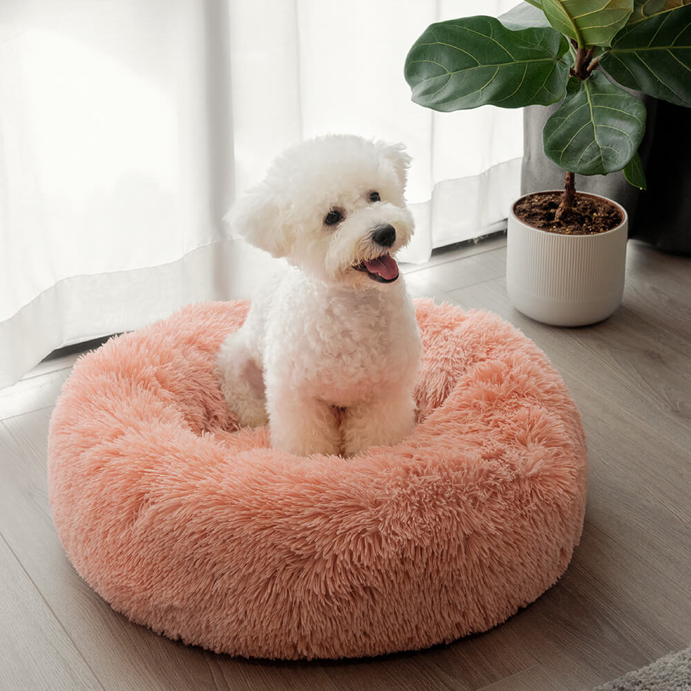 Fluffy round dog bed hotsell