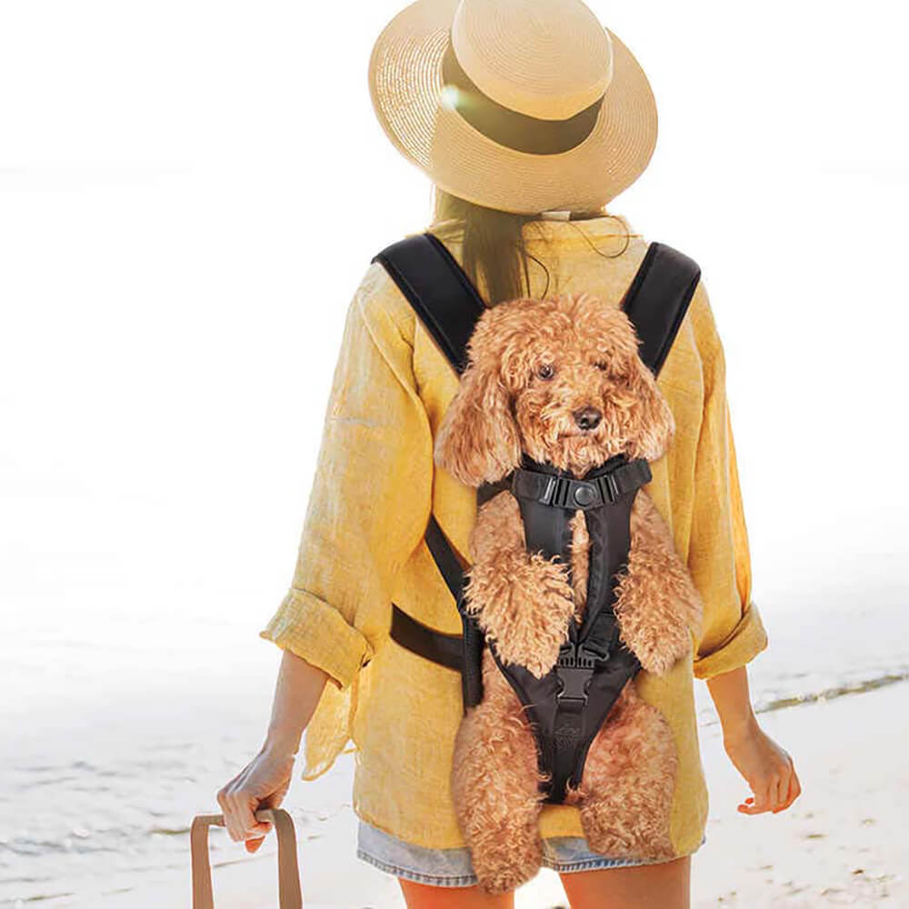 Designer Look Checkered Dog Carrier – Furbabeez