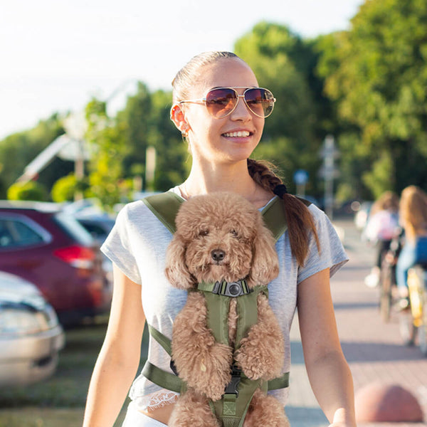 Designer Look Checkered Dog Carrier – Furbabeez